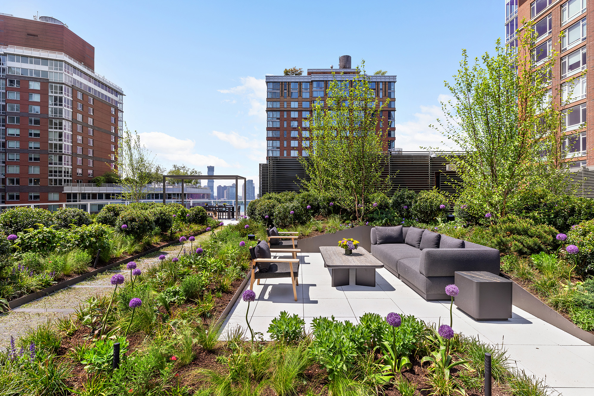 Roof Terrace 